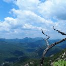 황정리 대흥사 위 이미지