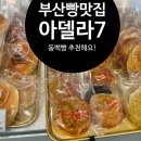 아델라7 서면부전점 | 부산 대표빵집 아델라7 본점 방문 동백빵 영접 및 20개 사기!
