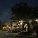 김해 로앙 애견카페 후기