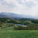 초록빛목장 이미지