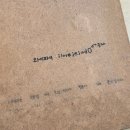 카페치즈태비 | 제주 구좌 카페 치즈태비 내돈내산 후기