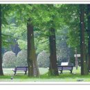 21세기 세차장 이미지