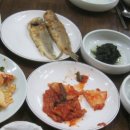 원당골 Daum카페