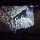 [리뷰] 인터스텔라 재개봉 후기 및 쿠키 왕아맥 명당추천 굿즈정보