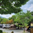 Najost Camp 이미지
