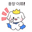 남지애견샵 이미지