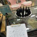 덕진-47 | [전주 혁신도시 마사지] 커플스파 와 쑥찜질 디톡스 솔직 후기 '더조은테라스파'
