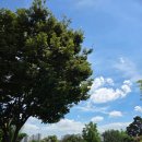 원탑농원 이미지