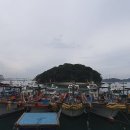 완도 주도 상록수림 | 완도의 문화재