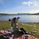 국민은행(유니온빌딩)옆 | 시애틀 여행 필수 코스 피크닉 추천 '가스웍스 파크' - 스카이라인, 유니온호, 무료주차