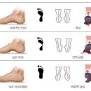 드래곤 파라다이스 짐 이미지