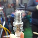 힐링카모터스 이미지