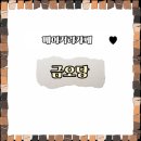 몽블랑베이커리 | 할미와 둥이의 오후 - 구미베이커리카페 [금오당] 후기