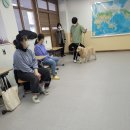 용안중학교 이미지
