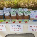 이케어크린 이미지