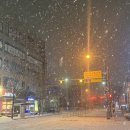 로하스치킨 이미지