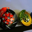 Jun fitted 이미지