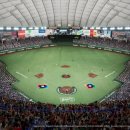 팀피(TEAM-P) 이미지