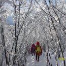소백산식물원