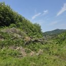 소마일농장 이미지