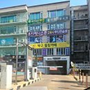 시흥24시센트럴동물의료센터 | 배곧 동물병원 24시 센트럴 동물의료센터 고양이 건강검진