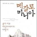 마니아 티스토리