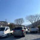대구 송해공원 근교맛집, 벚꽃나들버섯집 내돈내산 후기
