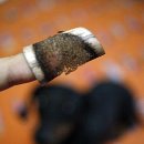 (주)서화제약 이미지