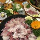 동성수산횟집 | 경산 맛집 대방어 맛있는 횟집 동성회수산