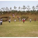 BBQ치킨 안중점 이미지