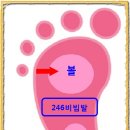 ■ [리듬짝갤러리-246비빔발] 비빔발은 발바닥의 볼로 커트하는 발 이미지