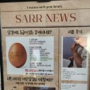 편백로-1 이미지