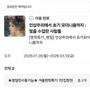 습작 | 국중박 인상주의에서 초기 모더니즘까지 전시 할인 방법 후기 주차