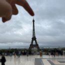 BOB정비 | [8박 10일 유럽 신혼여행] Day2 프랑스 파리 첫날 / 에펠탑, 센강 유람선 후기