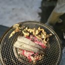 포레스트 월악 이미지