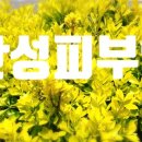 연세행복한가정의학과의원 이미지