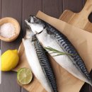 잠언의료기 중랑지점 | 고관절 치환술(hip arthroplasty) 후 고관절 외전보조기 착용 후기!!