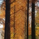 천하셀프세차장 이미지