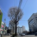 KT수원지사 맞은편 이미지