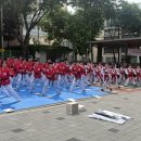 고일태권도 이미지