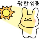 보떼리아헤어
