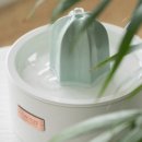 주식회사 퍼피아울렛 네이버블로그