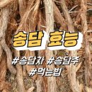 송담1로 티스토리