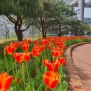 달성군청도서관 이미지