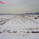 오산보건진료소 이미지