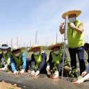 당동2리 이미지