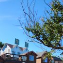 바람솔길펜션 이미지