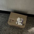프롬딥그린 | 맛도 건강도 다 잡은 짜서 먹는 편리한 프롬워터 바질페스토