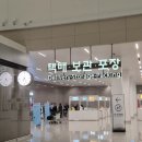 657 | 아이랑 방콕여행 대한항공 외투보관 코트룸서비스, KE657 KE656 기내식 후기