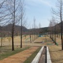 삼지수변공원 이미지